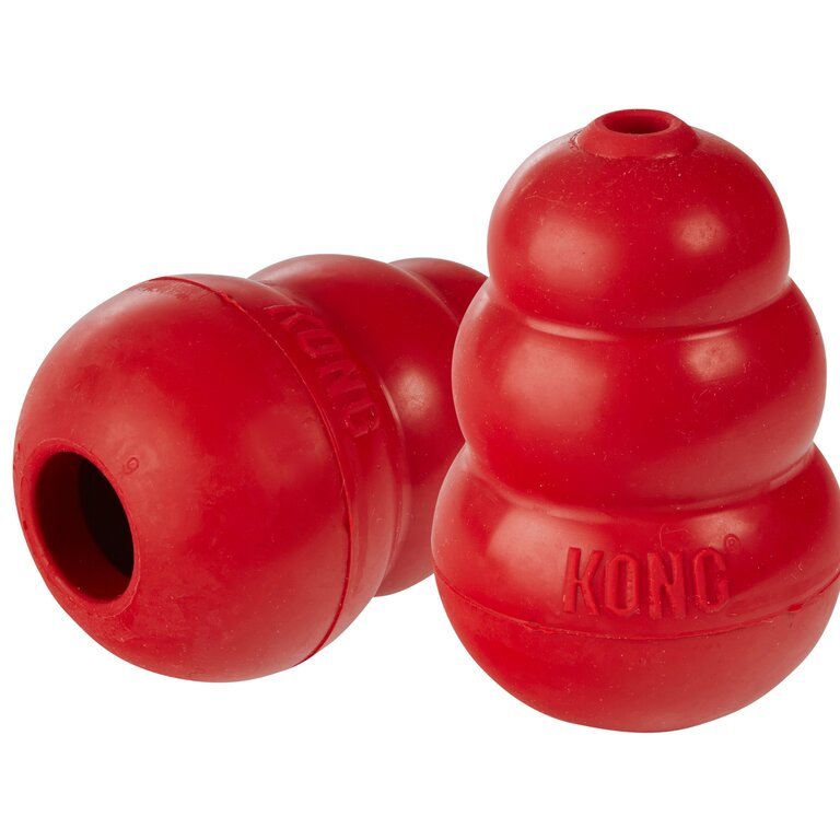 Kong Toy Red, Large