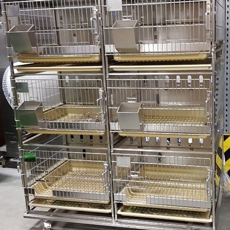 Rabbit cage rack